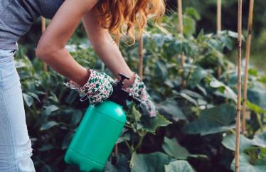 A young woman leans over a garden holding a large spray bottle and spraying plants